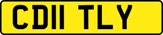 CD11TLY