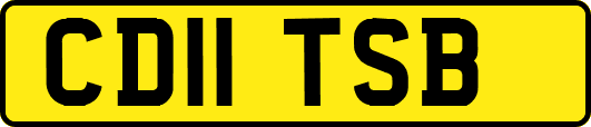 CD11TSB