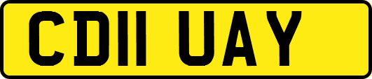 CD11UAY
