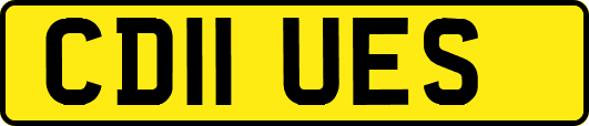 CD11UES