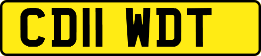 CD11WDT