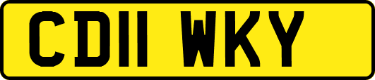 CD11WKY