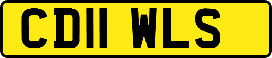 CD11WLS