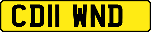 CD11WND