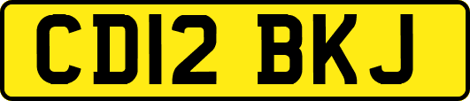 CD12BKJ