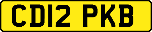 CD12PKB