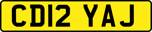 CD12YAJ
