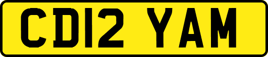 CD12YAM
