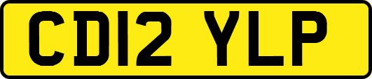 CD12YLP