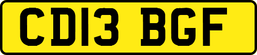 CD13BGF