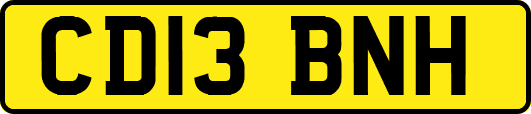 CD13BNH