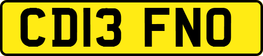 CD13FNO