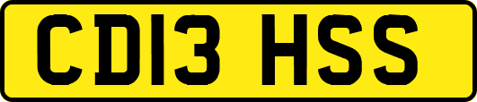 CD13HSS