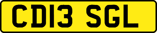 CD13SGL