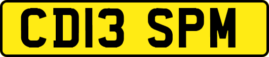 CD13SPM