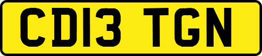 CD13TGN