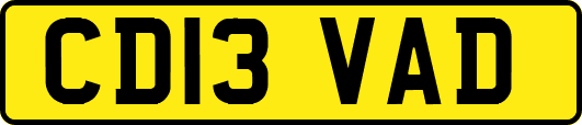 CD13VAD