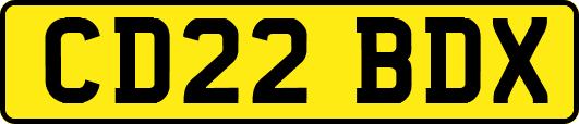 CD22BDX