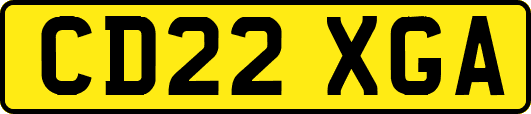 CD22XGA