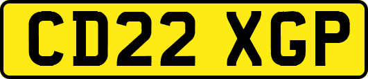 CD22XGP