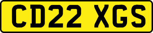 CD22XGS