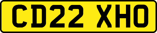 CD22XHO