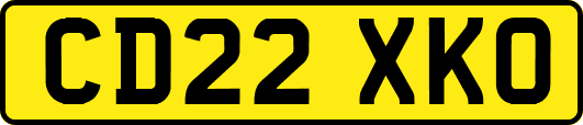 CD22XKO