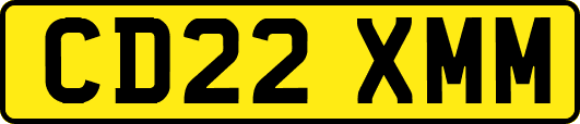 CD22XMM