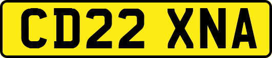 CD22XNA