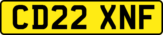 CD22XNF