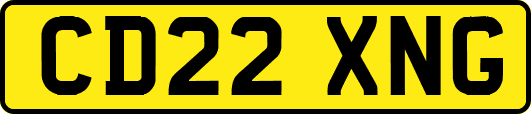 CD22XNG