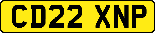 CD22XNP