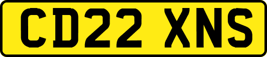 CD22XNS