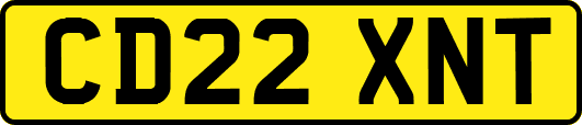 CD22XNT