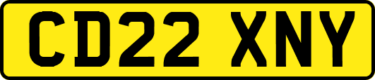 CD22XNY