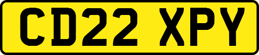CD22XPY