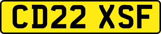 CD22XSF