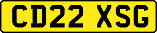 CD22XSG