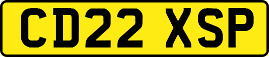 CD22XSP