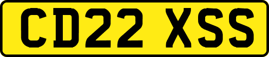 CD22XSS
