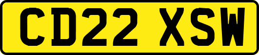 CD22XSW