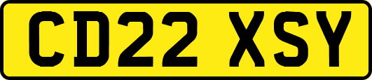 CD22XSY