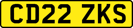 CD22ZKS