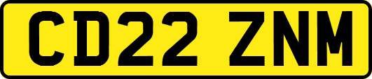 CD22ZNM