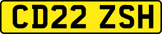 CD22ZSH