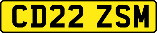 CD22ZSM