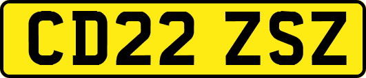 CD22ZSZ