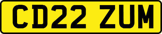 CD22ZUM