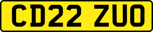CD22ZUO