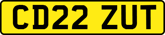 CD22ZUT